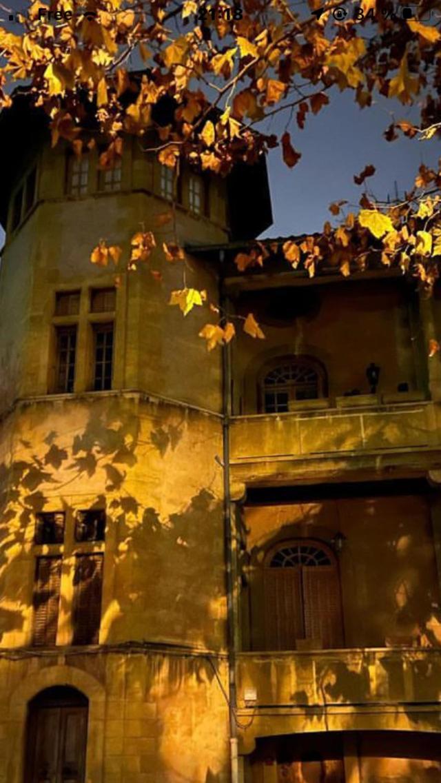 Une Nuit Au Chateau Lyon Exterior photo